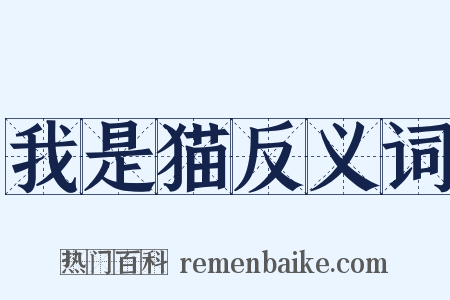 我是猫反义词是什么意思的图片